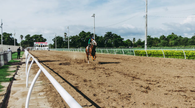 horse race