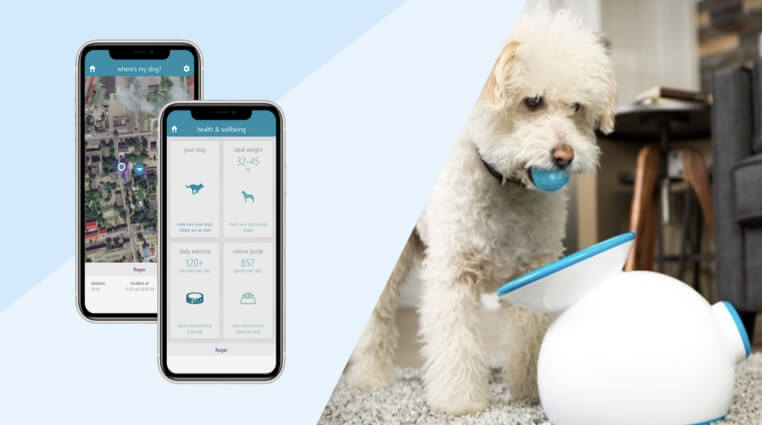 Why is the demand for Pet Tech solutions growing today?